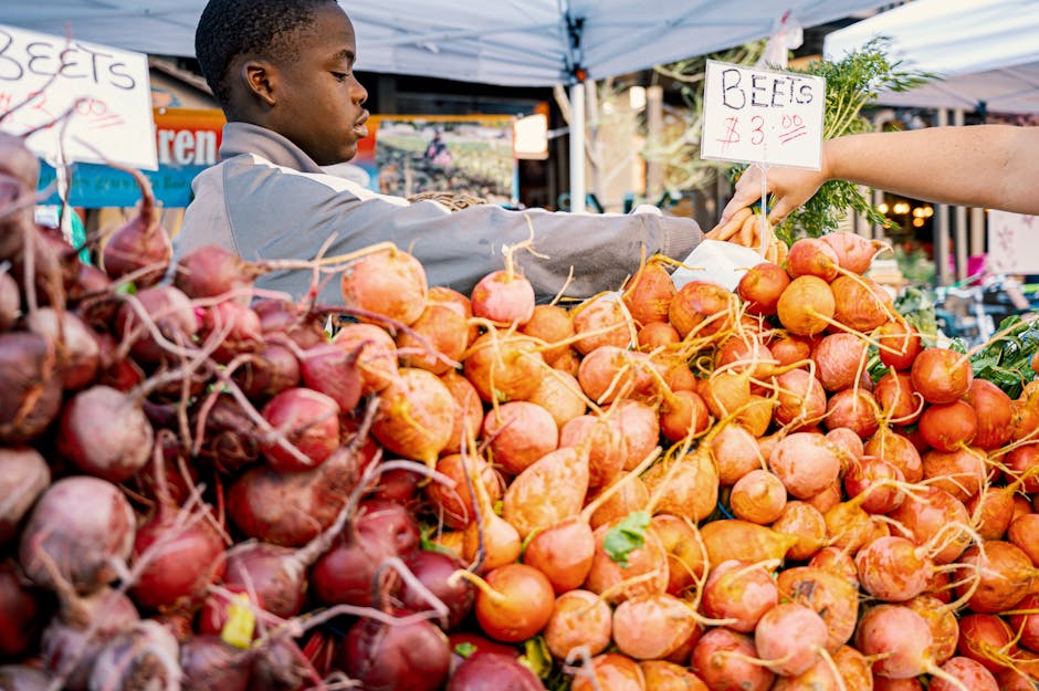 Modular System Architecture